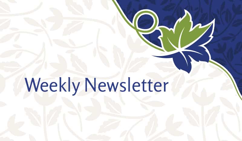 Weekly Resident & Family Letter – 20 Oct 21